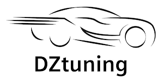 DZTUNING logo