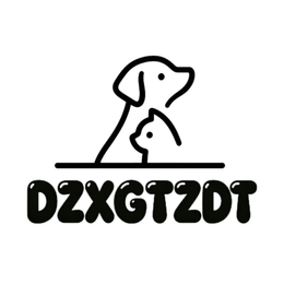 DZXGTZDT logo