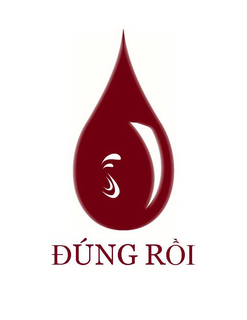 DÚNG ROI logo