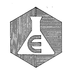 E logo