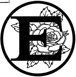 E logo