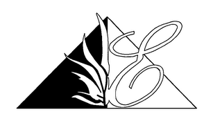 E logo