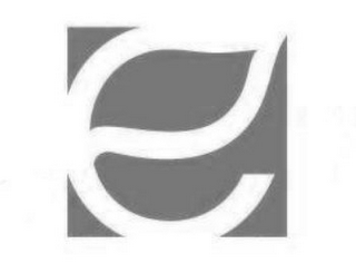 E logo