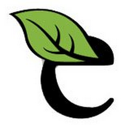 E logo