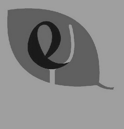 E logo