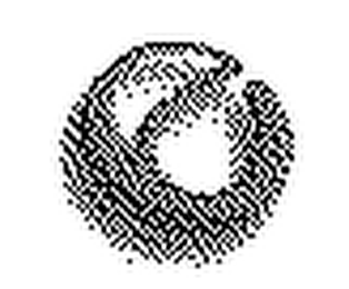 E logo