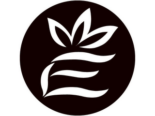 E logo