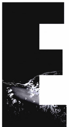 E logo