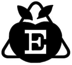 E logo