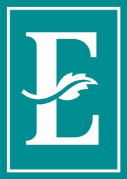 E logo