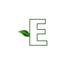 E logo