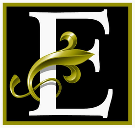 E logo