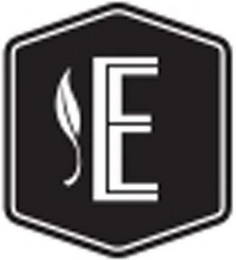 E logo