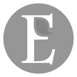 E logo
