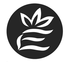 E logo