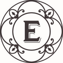 E logo