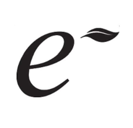 E logo