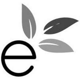 E logo