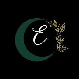 E logo