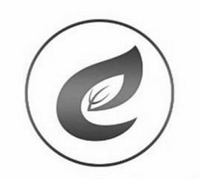 E logo