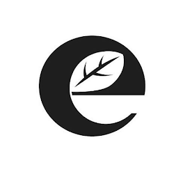 E logo