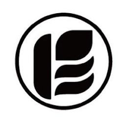 E logo