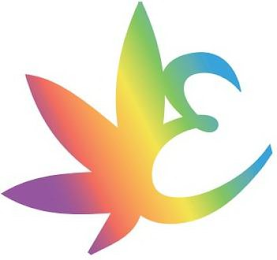 E logo