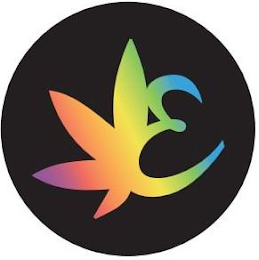 E logo