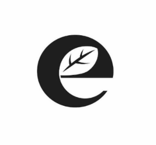 E logo
