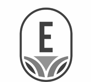E logo