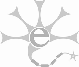 E logo