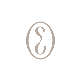 E logo