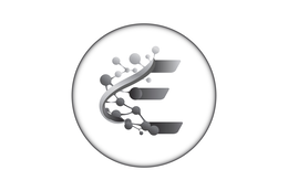 E logo