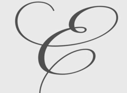 E logo