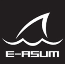 E-ASUM logo