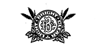 E B  LIGHT BRIGHT CLEAR logo
