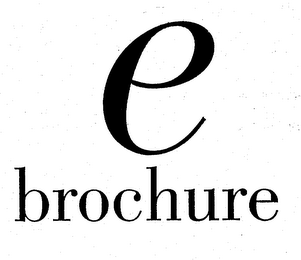 E BROCHURE logo