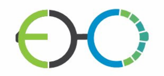 E C logo