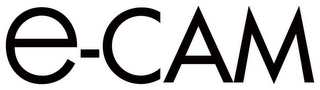 E-CAM logo