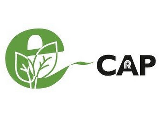 E-CAP R logo