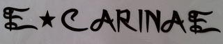 E CARINAE logo