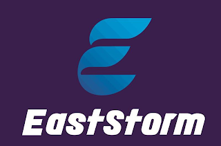 E EASTSTORM logo