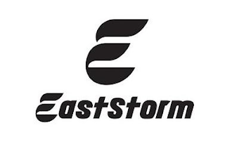 E EASTSTORM logo