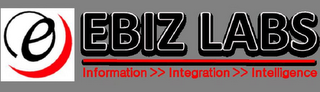 E EBIZ LABS INFORMATION INTEGRATION INTELLIGENCE logo