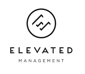 E ELEVATED MANAGEMENT logo
