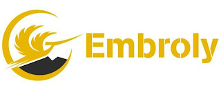 E EMBROLY logo