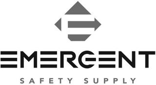 E EMERGENT SAFETY SUPPLY logo