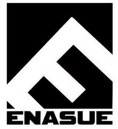 E ENASUE logo