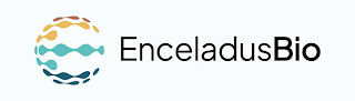 E ENCELADUSBIO logo