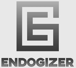 E ENDOGIZER logo
